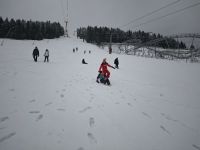 IMG_20241207_115844.jpg